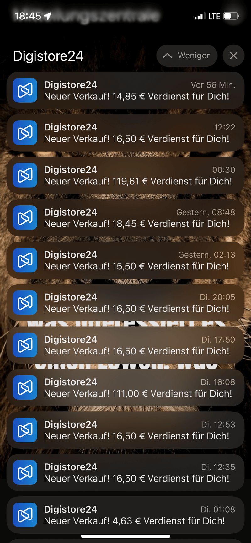 Affiliate Einnahmen DigiStore24-4